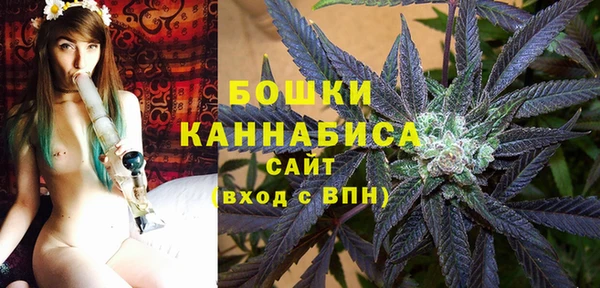 трава Арсеньев